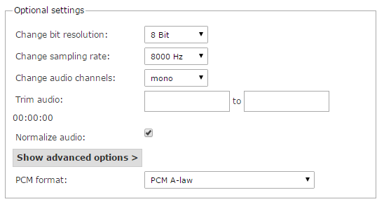 Audio conversion options